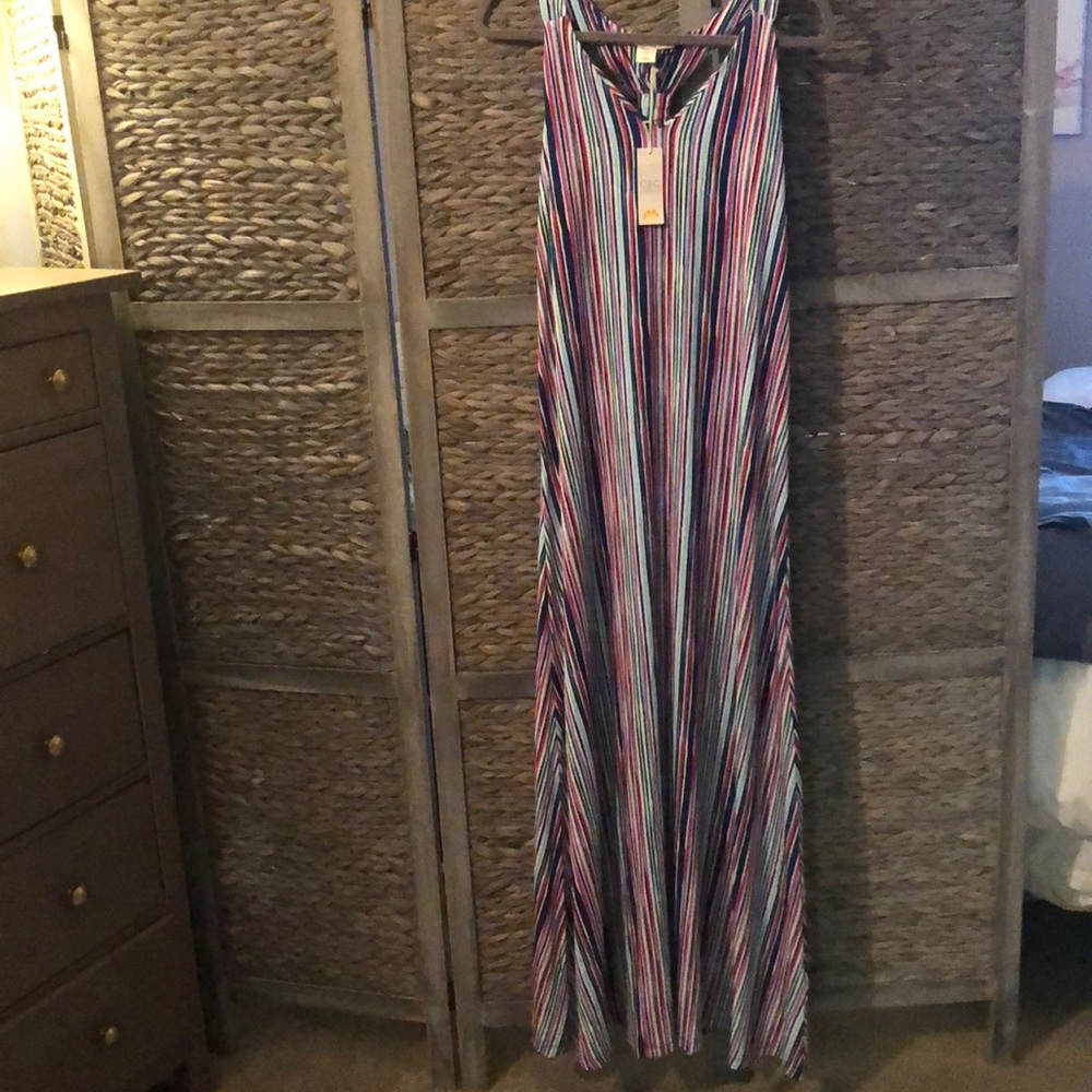 NWOT! C&C California multi-colored maxi dress
